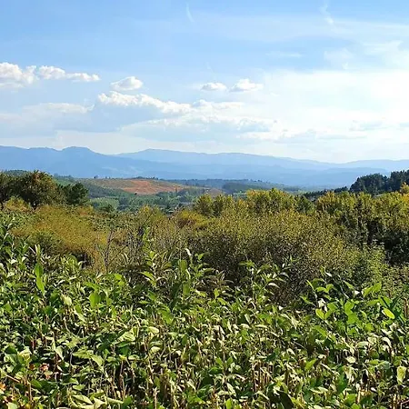 Holiday home Chalet Santa Teresa -